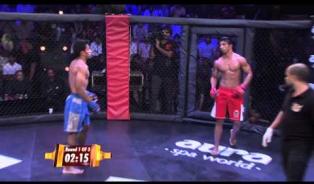 Embedded thumbnail for MMA in India: Super Fight League 28